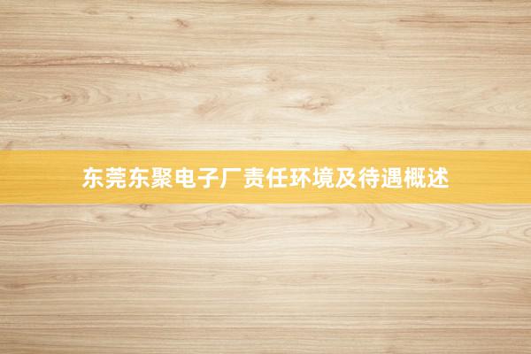 东莞东聚电子厂责任环境及待遇概述